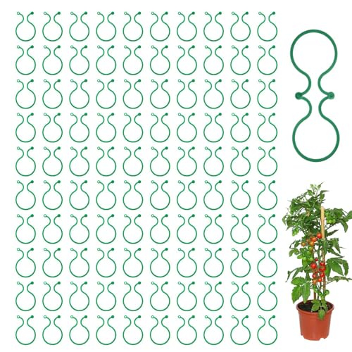 HunicandIU Gartenpflanzen Clips | 100 Stück Tomaten Clips Zur Stabilisierung - Rankenhalterung für Innen- und Außenbereich Gurken Tomaten Gemüse Orchideen HunicandIU Gartenpflanzen Clips | 100 Stück Tomaten Clips Zur Stabilisierung - Rankenhalterung für Innen- und Außenbereich Gurken Tomaten Gemüse Orchideen von HunicandIU