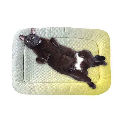 HunicandIU Kühlematte Für Hunde, Kühlfunktion Für Hundebetten, Für Bett Hundezwinger Transportboxen und Schlaf im Wohnzimmer für Welpen Katzen Kaninchen Hamster Reise Waschbar Komfort HunicandIU Kühlematte Für Hunde, Kühlfunktion Für Hundebetten, Für Bett Hundezwinger Transportboxen und Schlaf im Wohnzimmer für Welpen Katzen Kaninchen Hamster Reise Waschbar Komfort von HunicandIU