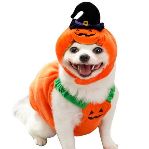 HunicandIU Kürbis Hundekostüm - Welpen Kürbis Hut | Warmes Und Gemütliches Hund Cosplay Outfit Für Herbst Winter Halloween Themenparty Tägliche Spaziergänge Und Fotos von HunicandIU