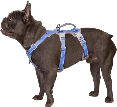 Huntboo Hunde Sicherheitsgeschirr, Rutschfestes Hundegeschirr Escape Proof, Reflektierendes Geschirr mit Griff, Atmungsaktiv, Langlebig, Verstellbare Weste für Mittelgroße Hunde (Vista blau, M) von Huntboo