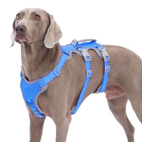 Huntboo Sicherheitsgeschirr Hund Ausbruchsicher, Panikgeschirr für Hunde, Reflektierendes Geschirr mit Gepolstertem Griff, Verstellbare Weste für Große Hunde, die Spazieren Gehen (Meeresblau,L) von Huntboo