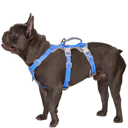 Huntboo Sicherheitsgeschirr Hund Ausbruchsicher, Panikgeschirr für Hunde, Reflektierendes Geschirr mit Gepolstertem Griff, Verstellbare Weste für Mittelgroße Hunde, Spazieren (Meeresblau,M) von Huntboo