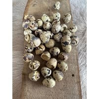 Wachteleier Osterdekoration Wachteleier Osterdekoration von HuntiDanti