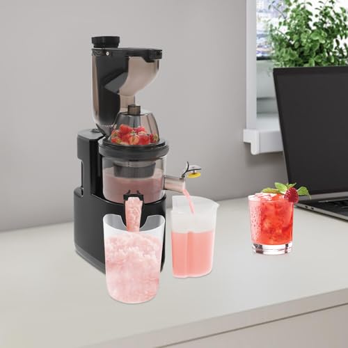 Entsafter, Elektrischer Entsafter,500W Slow Juicer Obst GemüSe Smoothies, Schwarz/Rot/Weiß, Edelstahl Sieb, RüCkwäRtslauf Geeignet FüR Saft und Saft,Einfach mit Der BüRste Zu Reinigen (Schwarz) von Hurrylying