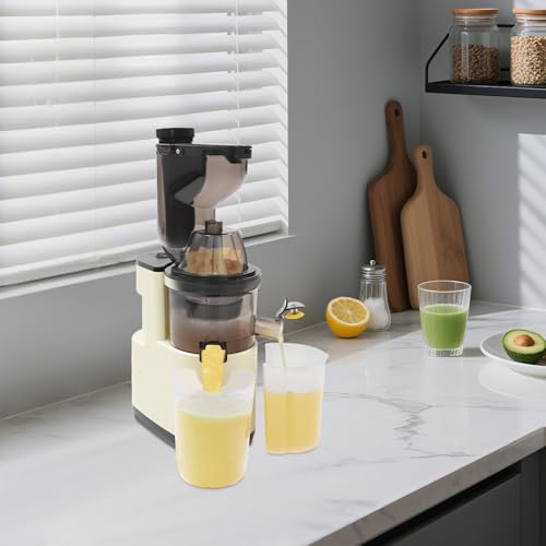 Entsafter, Elektrischer Entsafter,500W Slow Juicer Obst GemüSe Smoothies, Schwarz/Rot/Weiß, Edelstahl Sieb, RüCkwäRtslauf Geeignet FüR Saft und Saft,Einfach mit Der BüRste Zu Reinigen (Weiß) von Hurrylying