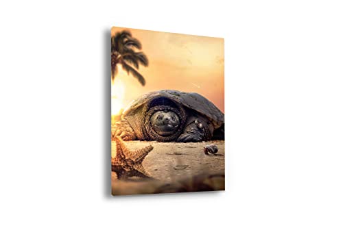 Hustling Sharks® Tierbilder auf Leinwand als XXL Wandbild Lazy Tortoise - Leinwandbilder im Hochformat, Wandbild Tiere, Wandbild Schlafzimmer, Deko Wohnzimmer, Schildkröte Bild (60x90cm) von Hustling Sharks