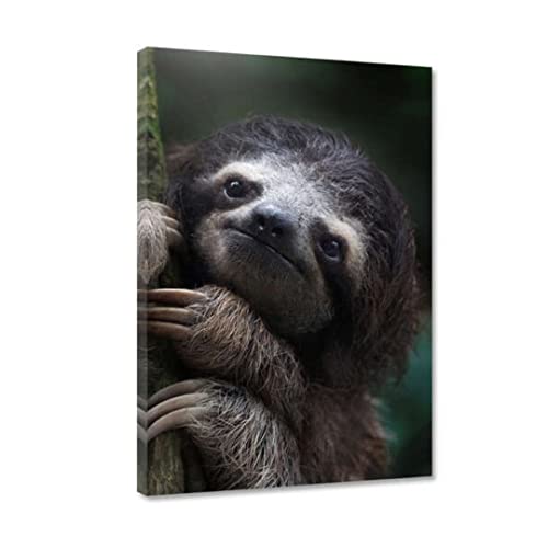 Hustling Sharks® Tierbilder auf Poster als XXL Wandbild Cute Sloth - Poster im Hochformat, Poster Tier, Poster Schlafzimmer, Poster Kinderzimmer, Faultier Bild, Tier Bilder (30x45cm) von Hustling Sharks