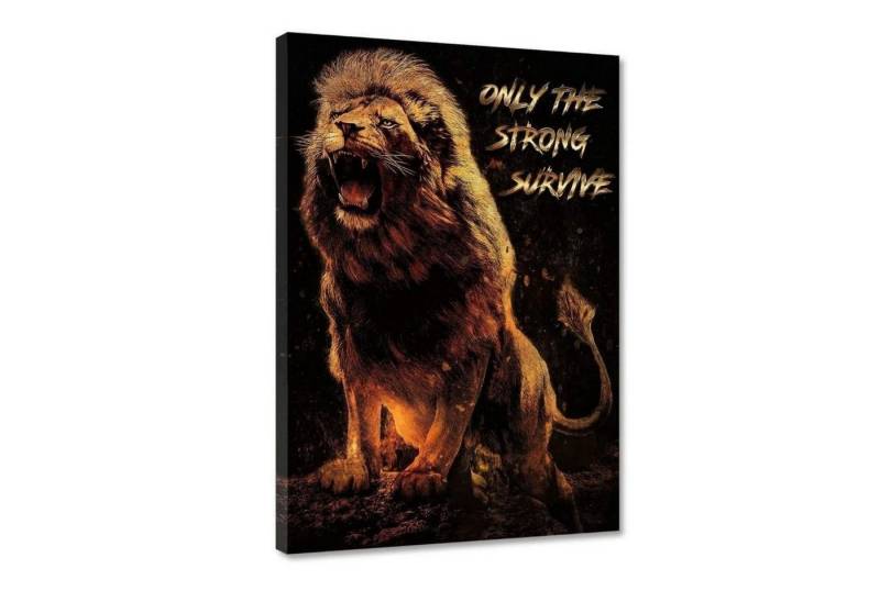 Hustling Sharks Leinwandbild Löwen-Bild als XXL Leinwandbild "The Strong Survive", in 7 unterschiedlichen Größen erhältlich von Hustling Sharks