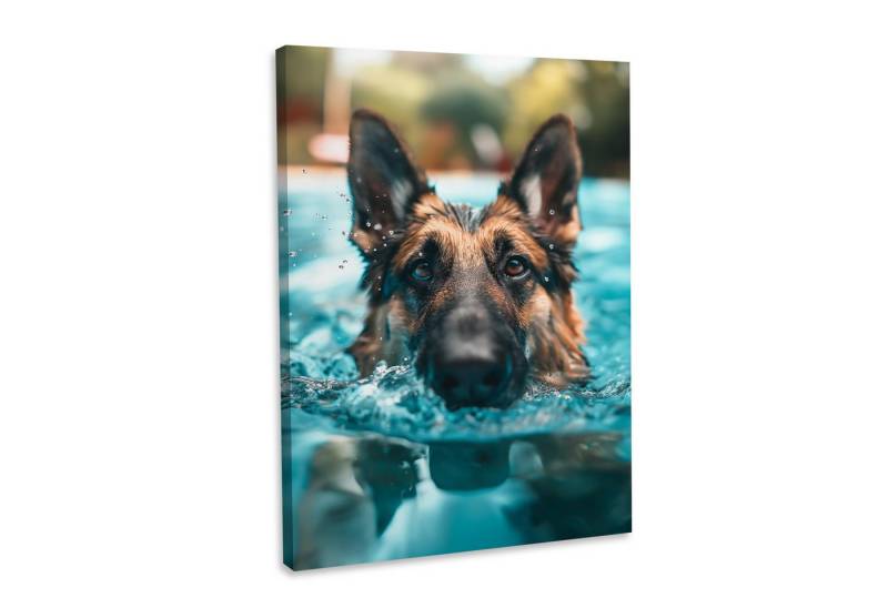 Hustling Sharks Leinwandbild Tier-Bild als XXL Leinwandbild "Hund im Pool#4" - Tierbild, in 5 unterschiedichen Größen verfügbar von Hustling Sharks