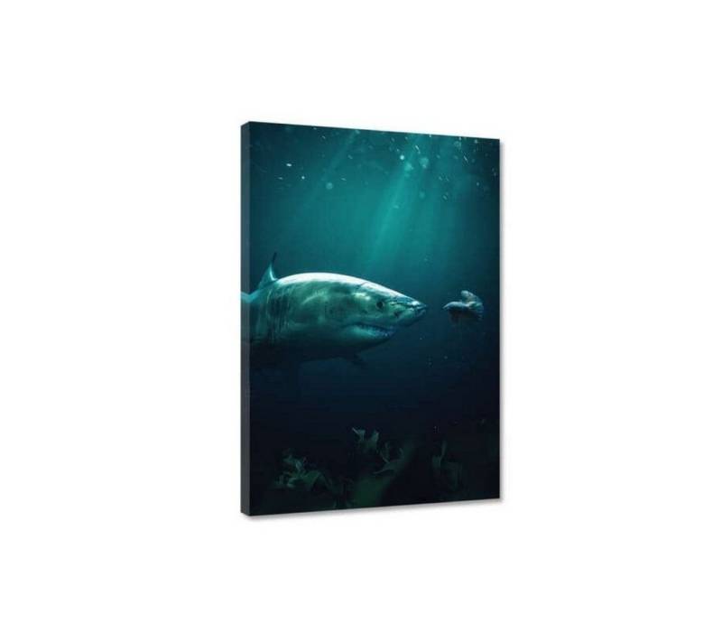 Hustling Sharks Leinwandbild Tier Wandbild als XXL Leinwandbild "Shark meets Betta", in 7 unterschiedlichen Größen verfügbar von Hustling Sharks