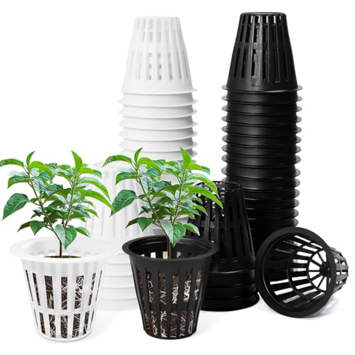 Huucozn 50 Stück Hydrokultur Netztöpfe 5.5cm Kunststoff Hydroponics Netztopf Hydrokultur Pflanzen net Mesh Topfpot Pflanzkorb Teich Netztopf Pflanzkörbe für Teichpflanzen für Hydroponics Supplies Huucozn 50 Stück Hydrokultur Netztöpfe 5.5cm Kunststoff Hydroponics Netztopf Hydrokultur Pflanzen net Mesh Topfpot Pflanzkorb Teich Netztopf Pflanzkörbe für Teichpflanzen für Hydroponics Supplies von Huucozn