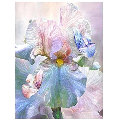 5D DIY Diamant malerei, Diamant Painting Bilder Farbige Iris-Blume 30x40cm Diamond Painting Kreuzstich Set, Malen nach Zahlen Set für Erwachsene Anfänger, Strassstein Stickerei kunst Home Decor von Huusaap