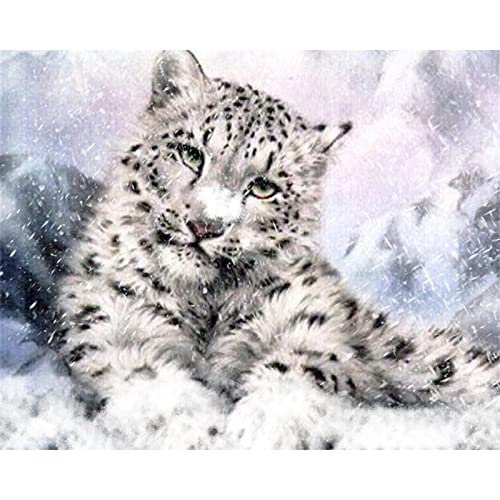 5D Diamant Painting Full Set Tierischer Schneeleopard 40x50cm DIY Diamant Malerei Set für Erwachsene mit Diamond Painting Zubehör， Strassstein Stickerei Kunst für Haus Wand Und Eingang Dekorationen von Huusaap