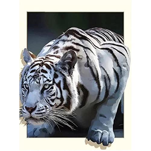 DIY 5D Diamant Gemälde Kit, 5D Diamant Painting Full Groß Tier Weißer Tiger 40x60cm Diamant Painting Voll Set Stickerei Strass Kreuzstich Kunst Malerei Handwerksbedarf für Heimwand Deko von Huusaap