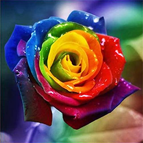 DIY 5D Diamond Painting Set Regenbogen-Rosen-Blume 45x45cm Malen nach Zahlen Diamant, Diamant Painting Bilder, Geschenk für Erwachsene Kinder, Leinwand Stickerei Crafts für Home Wand Decor von Huusaap