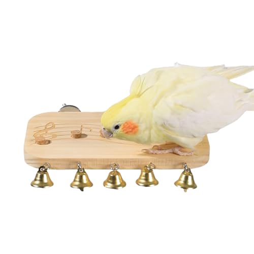 Huvqianu Flache Vogelsitzstange – Holzstange für Vögel, flach, Papageienständer, Spielzeug – Haustierbedarf mit Glocken für Nymphensittiche, Lovebird, Kleintiere, drinnen und draußen, Balkon, Terrasse Huvqianu Flache Vogelsitzstange – Holzstange für Vögel, flach, Papageienständer, Spielzeug – Haustierbedarf mit Glocken für Nymphensittiche, Lovebird, Kleintiere, drinnen und draußen, Balkon, Terrasse von Huvqianu