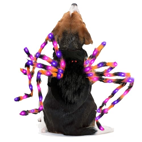 Huvqianu Hundekostüm - Hunde Halloween Party Verkleidung - Beleuchtete Festliche Accessoires Für Fotos Und Veranstaltungen Von Haustieren Huvqianu Hundekostüm - Hunde Halloween Party Verkleidung - Beleuchtete Festliche Accessoires Für Fotos Und Veranstaltungen Von Haustieren von Huvqianu