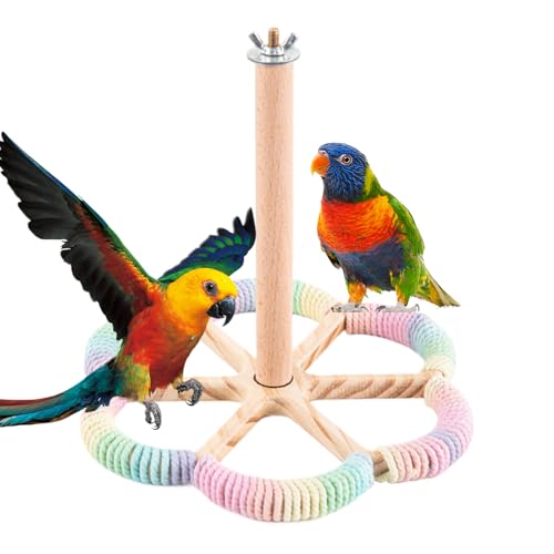 Huvqianu Vogel-Sitzstangen für Käfig, drehbarer Ständer, Kolibri-Anreicherungsspielzeug, interaktive Sitzstangen für kleine, mittelgroße Vögel, Kanarienvögel, Sittiche, Lovebird Huvqianu Vogel-Sitzstangen für Käfig, drehbarer Ständer, Kolibri-Anreicherungsspielzeug, interaktive Sitzstangen für kleine, mittelgroße Vögel, Kanarienvögel, Sittiche, Lovebird von Huvqianu