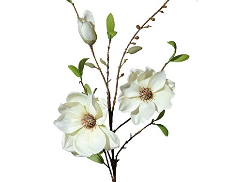 DPI Magnolienzweig Creme 90cm Dekopflanze Kunstblume Blumendeko Trockenfloristik künstliche Magnolie von DPI
