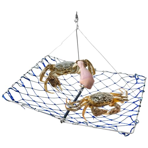 Huxibai Blaue Krabbenfalle | Krabbenkäfig Fischernetz faltbar | Fischernetz Square Hawk für See Teich Angeln im Freien Huxibai Blaue Krabbenfalle | Krabbenkäfig Fischernetz faltbar | Fischernetz Square Hawk für See Teich Angeln im Freien von Huxibai