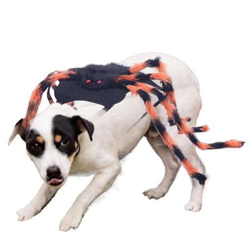 Huxibai Hund Spinne Kostüm | Spinnen Cosplay Kostüme für Katzen | Accessoires Für Haustierfeste Umzug Feier Karnival Fest von Huxibai