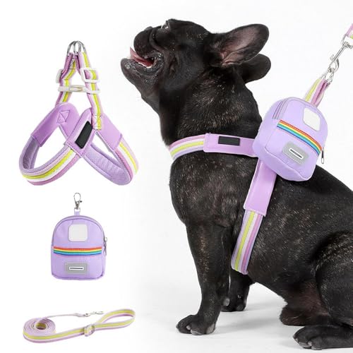 Huxibai Hundegeschirr mit Geschirr – verstellbares Geschirr für Hunde und – Aufbewahrungstasche inklusive ergonomischer Anpassung für Training und Wandern und und Park und Camping für Huxibai Hundegeschirr mit Geschirr – verstellbares Geschirr für Hunde und – Aufbewahrungstasche inklusive ergonomischer Anpassung für Training und Wandern und und Park und Camping für von Huxibai