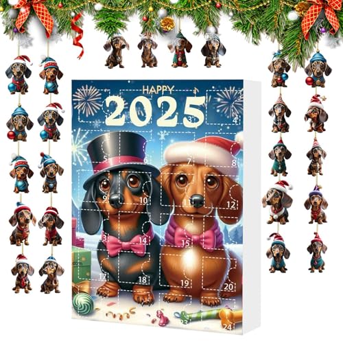Huxibai Weihnachtsadvent 2025 | Spielzeugfiguren Dackel für Weihnachtsbaum Advent, Acryldekoration für Zuhause Kinder Jugendliche Erwachsene Dezember Wohnzimmer Zimmer Huxibai Weihnachtsadvent 2025 | Spielzeugfiguren Dackel für Weihnachtsbaum Advent, Acryldekoration für Zuhause Kinder Jugendliche Erwachsene Dezember Wohnzimmer Zimmer von Huxibai