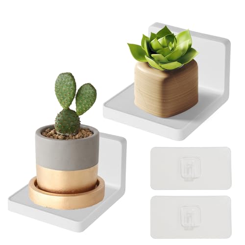 Huybaa 2 Stück kleine Wandregale, Regale ohne Bohren, Mini-Wandregal (10,5cm*10cm), für Wohnzimmer, Schlafzimmer, Küche, Büro, Bad (weiß) von Huybaa