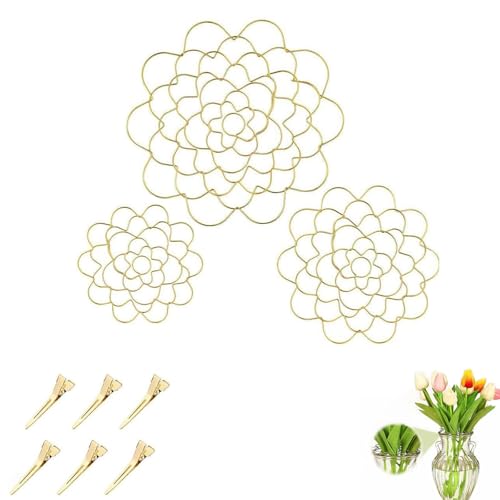 3 Stück Edelstahl blumenfrosch, pflanzeneinsätze aus Metall,Blumenraster Zubehör Floristikbedarf Pflanzen Kenzan Trenner für Blumenfrösche Edelstahl Vaseneinsätze Pflanzenfixierung-Gold von Hvjwfu