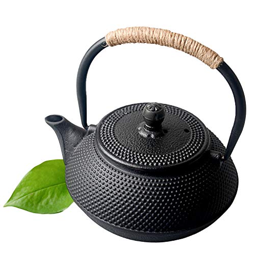 HwaGui-Japanische Teekanne Gusseisen mit Siebeinsatz Schwarz Teekanne Asiatisch 0,6l / 600ml [MEHRWEG] von HwaGui
