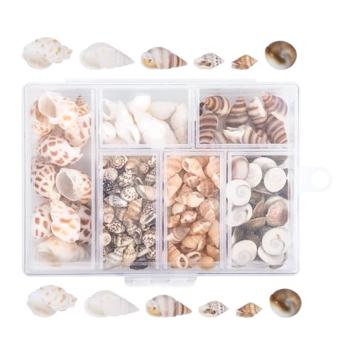 160 Stück Muscheln Deko Muscheln mit Aufbewahrungsbox, 1-3cm Natürliche Muscheln zum Basteln, Ungebohrt Kleine Muscheln für Armbänder, DIY Kunsthandwerk Bemalen, Vase Füllstoffe, Fisch Panzer 160 Stück Muscheln Deko Muscheln mit Aufbewahrungsbox, 1-3cm Natürliche Muscheln zum Basteln, Ungebohrt Kleine Muscheln für Armbänder, DIY Kunsthandwerk Bemalen, Vase Füllstoffe, Fisch Panzer von HweeWanX