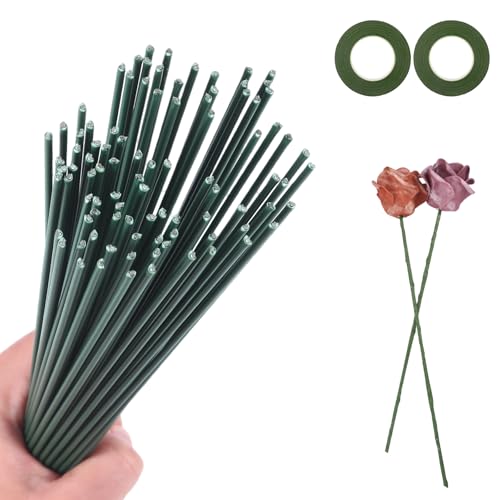 50 Stück Blumendraht Grün mit Floristenband, 2mm Blumenstamm Draht, Flexibler Floristendraht 30 cm für DIY Blumendraht zum Basteln, Robuster Steckdraht Floristik für Blumenarrangements & Handwerk von HweeWanX