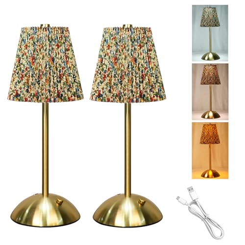 2 Stück Nachttischlampe Aufladbar Akku Tischleuchte Stufenlose Dimmbare 3 Farbmodi, Touch Control LED Tischlampe Minimalistische Tischleuchte für Nachttisch Schlafzimmer Lesen Wohnzimme (Kunterbunt B) von HyDlan