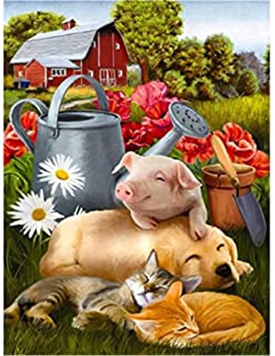 5D DIY Diamant Painting Bilder groß, Bauernhof Schwein Hund Katze 40x50cm 5D Diamond Painting, DIY Cross Stitch Stickerei Malerei Kits, voller Bohrer Strass Stickerei Kunsthandwerk,Inneneinrichtung von Hyanun