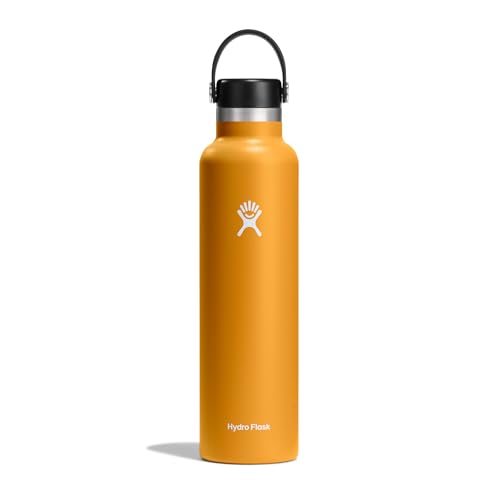 Hydro Flask - Wasserflasche 709 ml (24 oz) - Vakuumisolierte Edelstahl-Wasserflasche mit auslaufsicherem Flex-Verschluss und Pulverbeschichtung - Standardöffnung - Fossil von Hydro Flask