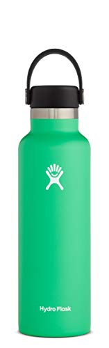 HYDRO FLASK - Trinkflasche 621ml (21oz) - Isolierte Wasserflasche aus Edelstahl - Sportflasche mit auslaufsicherem Flex Cap-Deckel - Thermoflasche Spülmaschinenfest - Standard-Öffnung - Spearmint von Hydro Flask