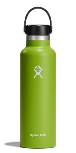 HYDRO FLASK - Trinkflasche 621ml (21oz) - Vakuumisolierte Wasserflasche aus Edelstahl - Sportflasche mit auslaufsicherem Flex Cap-Deckel - Thermoflasche Spülmaschinenfest - Standard-Öffnung - Seagrass von Hydro Flask
