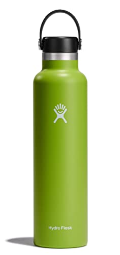 HYDRO FLASK - Trinkflasche 709ml (24oz) - Vakuumisolierte Wasserflasche aus Edelstahl - Sportflasche mit auslaufsicherem Flex Cap-Deckel - Thermoflasche Spülmaschinenfest - Standard-Öffnung - Seagrass von Hydro Flask