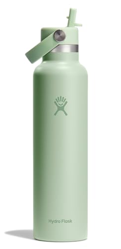Hydro Flask Wasserflasche, isolierter Edelstahl, Trinkhalm-Deckel, auslaufsicher, 680 ml, Aloe-Grün von Hydro Flask
