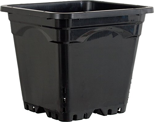 Hydrofarm HG12X12SB Active Aqua Quadratische schwarze Pflanzentöpfe, Größe 12 Zoll (30.48 cm), 24 Stück pro Kiste von Hydrofarm