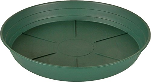 Hydrofarm HGS6P Green Premium, 6", Pack of 25 Saucer, 6" von Hydrofarm