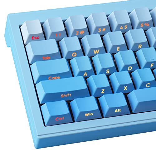 Hyekit Tastenkappen,Blauer Farbverlauf Tastenkappen, Kirschprofil Double Shot, 132 Tasten benutzerdefinierte Tastenkappen für Cherry Gateron MX Switches mechanische Tastatur von Hyekit