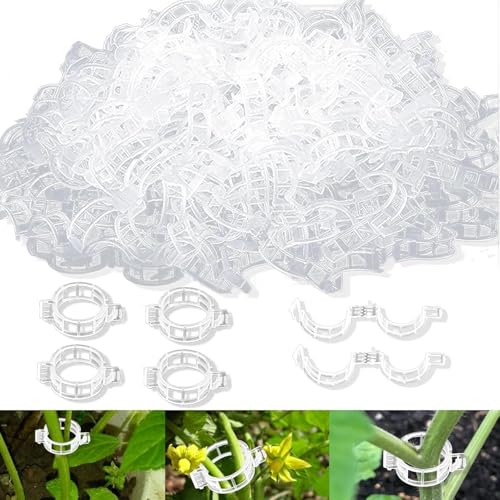 250 Stück Kunststoff Tomatenclips, Tomatenclips Verbinden, Pflanzenklammern, Ranken Clips, Pflanzenclips, Pflanzen Sicherung, Tomatenclips Verbinden Pfeffer Gurke Reben, für Pflanzen Sicherung(B) von Hyfkjdm
