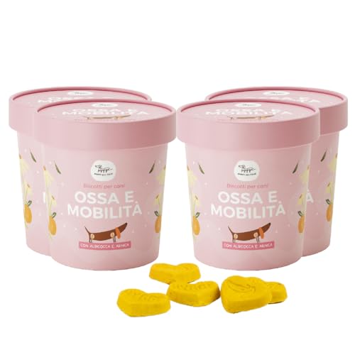 Hundekekse gegen Arthritis | reich an Glucosamin, Chondroitin und Arnika | funktioneller Hundesnack mit Aprikosengeschmack ideal für Knochen und Mobilität | 100 g x 4 | italienisches Ergänzungsfutter Hundekekse gegen Arthritis | reich an Glucosamin, Chondroitin und Arnika | funktioneller Hundesnack mit Aprikosengeschmack ideal für Knochen und Mobilität | 100 g x 4 | italienisches Ergänzungsfutter von Hygge