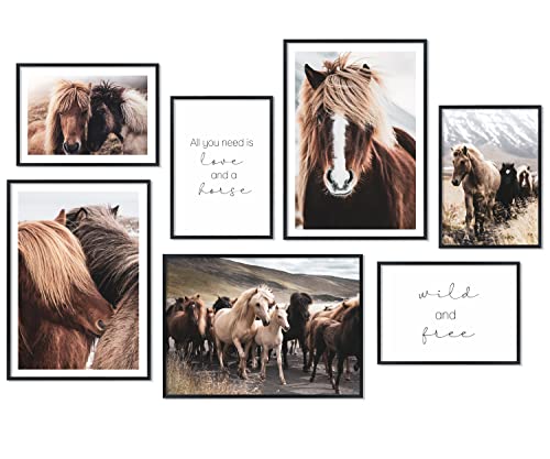 Hyggelig Home Premium Poster Set - 7 passende Bilder im stilvollen Set - Collage Deko - Set Horses - mit Rahmen schwarz von Hyggelig Home