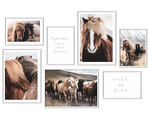Hyggelig Home Premium Poster Set - 7 passende Bilder im stilvollen Set - Collage Deko - Set Horses - mit Rahmen weiss von Hyggelig Home