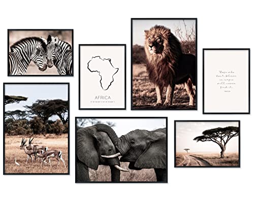 Hyggelig Home Premium Poster Set - 7 wunderschöne Afrika Bilder im Set - Natur Löwe Elefant Zebra Urlaub Safari Africa Deko für Schlafzimmmer Flur Wohnzimmer - ohne Rahmen von Hyggelig Home