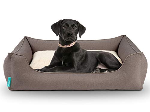 Hyggins Dreamer Perfect Hundebett | Wendekissen orthopädisch | Bezug abnehmbar und waschbar | Boden wasserabweisend (S 60 x 44cm, Grau Braun)… von Hyggins