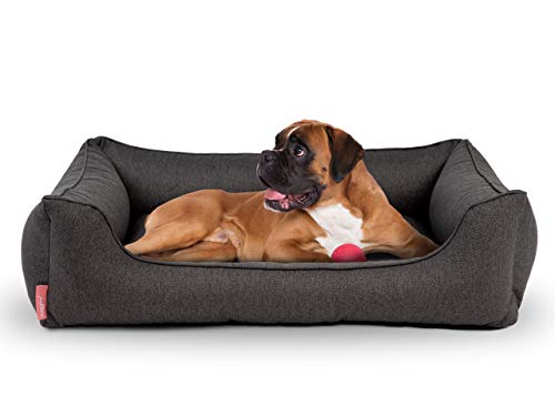 Hyggins Dreamer Plus Hundebett | Orthopädisch, Bezug abnehmbar und waschbar | Boden wasserabweisend (M 80 x 60cm, Dunkelgrau) von Hyggins