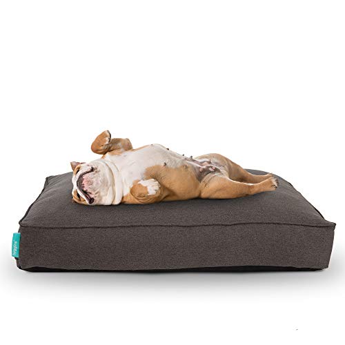 Hyggins Lounger Plus Hundekissen | orthopadisch, Bezug abnehmbar | Boden wasserabweisend (L 113 x 68cm, Dunkelgrau) von Hyggins